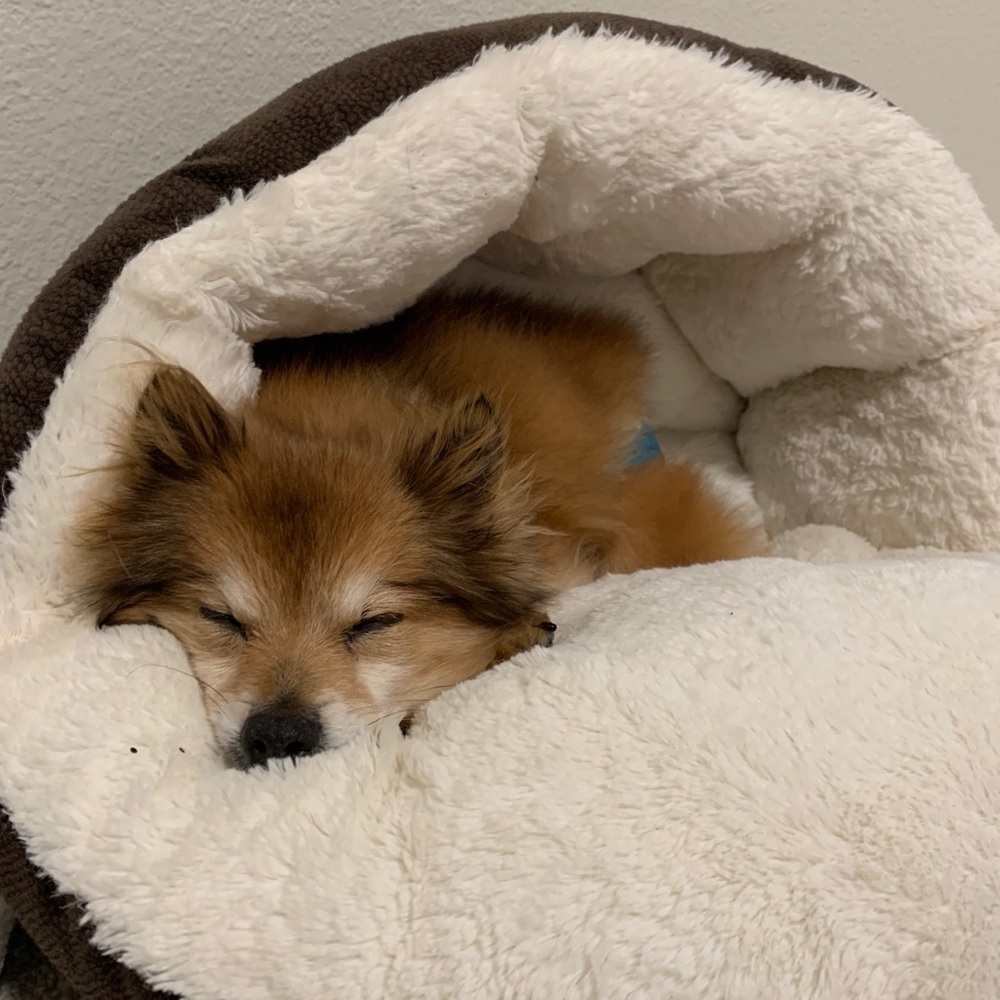 Meet your Posher, Kathleen